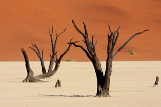 Sossusvlei - Désert du Namibe Namibie 2010