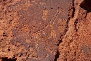 Gravures rupestres - Twyfelfontein Namibie 2010