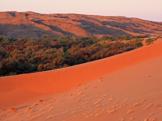 Homeb - Namib Desert Namibie