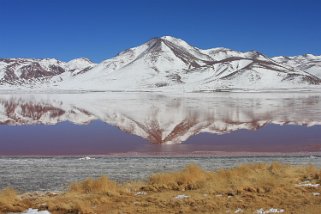 Laguna Colorada Bolivie 2011