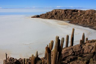 Isla Pescado - Salar de Uyuni Bolivie 2011