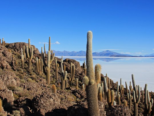 Salar de Uyuni Bolivie