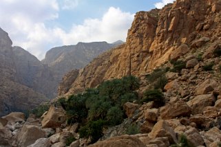 Wadi Tiwi Oman 2011