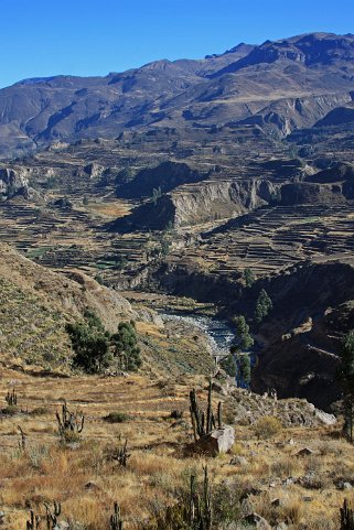 Cañon del Colca Pérou 2012