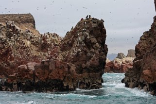 Islas Ballestas Pérou 2012
