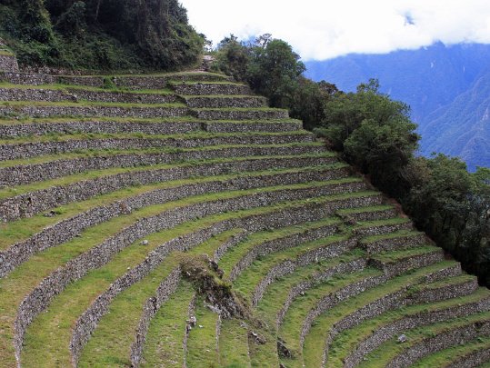 Camino del Inca Pérou