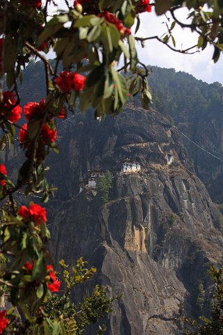 Monastère de Taktsang Bhoutan 2013