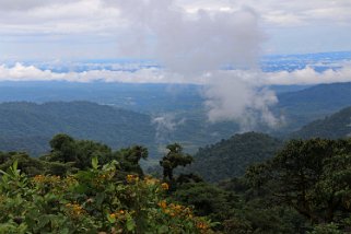 Cosanga Equateur 2015