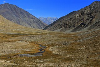 Changthang Ladakh 2016