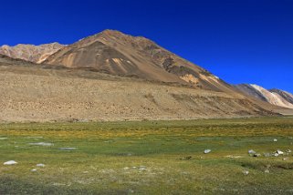Muglib Ladakh 2016
