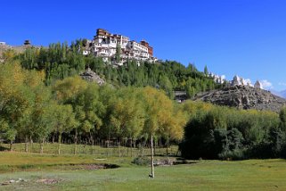 Matho Gompa Ladakh 2016