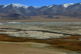 Tso Kar Ladakh 2016