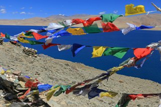 Tso Moriri Ladakh 2016
