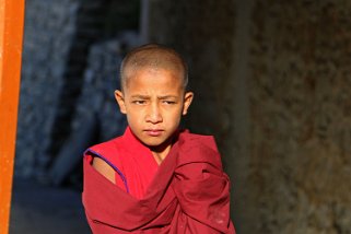 Moine à Karsha Gompa Ladakh 2016