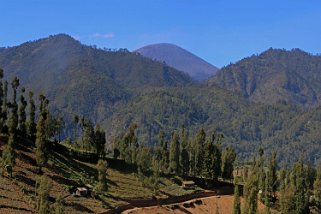 Parc national de Bromo-Tengger-Semeru - Semeru 3676 m Indonésie 2017