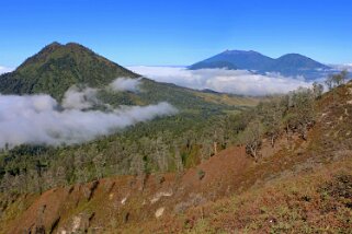 Réserve d'Ijen-Merapi-Maelang - Raung 3332 m - Rante 2644 m null