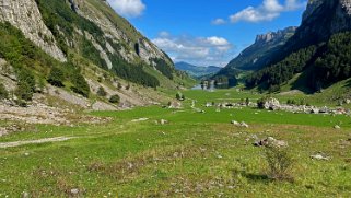 Seealp - Alpstein Appenzell 2021