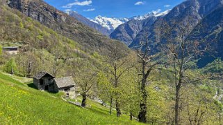 Verda - Val Lavizzara Tessin 2021