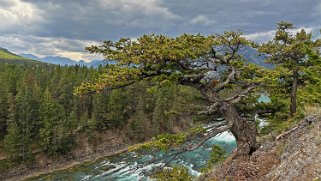 Bow Falls - Banff - Parc National de Banff Canada 2023