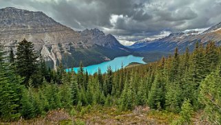 Peyto Lake - Parc National de Banff Canada 2023