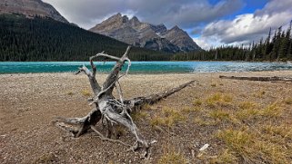 Peyto Lake - Parc National de Banff Canada 2023