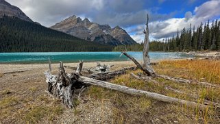 Peyto Lake - Parc National de Banff Canada 2023