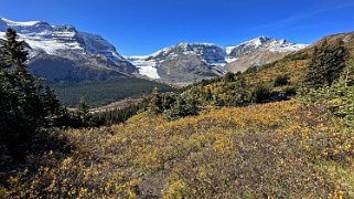 Wilcox Pass Trail - Parc National de Jasper Canada 2023