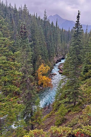 Maligne Canyon - Parc National de Jasper Canada 2023