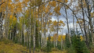 Parc National de Jasper Canada 2023