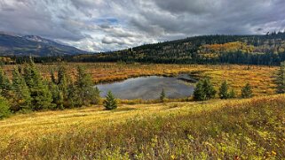 2023 10 Jasper - Parc National de Jasper