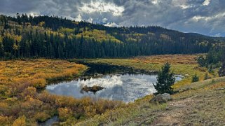 Cottonwood - Parc National de Jasper Canada 2023