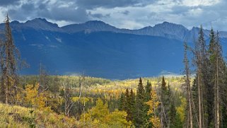 Cottonwood - Parc National de Jasper Canada 2023