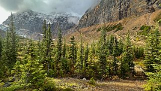 Cavell Creek - Parc National de Jasper Canada 2023