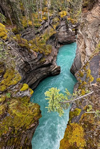 Athabasca Falls - Parc National de Jasper Canada 2023