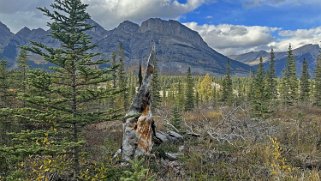 Mistaya River - Parc National de Banff Canada 2023