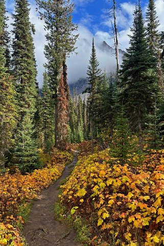 Emerald Lake - Parc National de Yoho Canada 2023