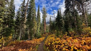 Emerald Lake - Parc National de Yoho Canada 2023