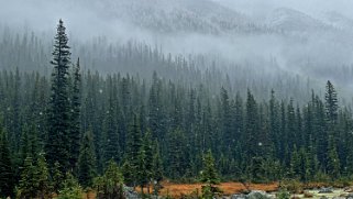 Babel Creek - Parc National de Banff Canada 2023