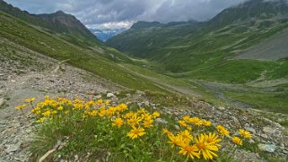 Chüealptal Grisons 2023