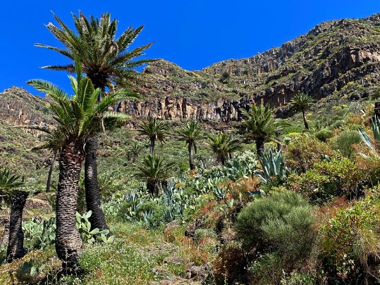 Valle Gran Rey La Gomera - Canaries - Espagne