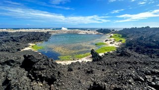 Hoapili Trail - Maui Hawaii 2024