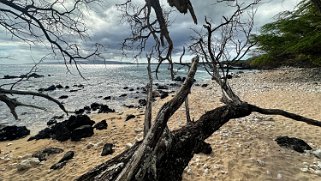 Hoapili Trail - Maui Hawaii 2024