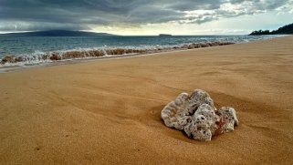 Big Beach - Maui Hawaii 2024