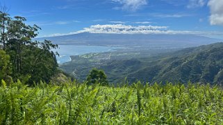 Waihee Ridge Trail - Maui Hawaii 2024