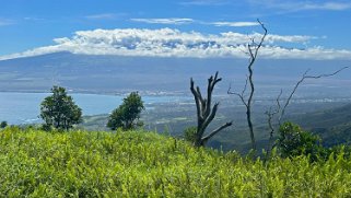 Waihee Ridge Trail - Maui Hawaii 2024