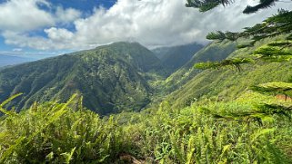 Waihee Ridge Trail - Maui Hawaii 2024