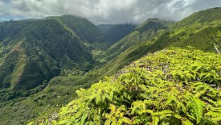 Waihee Ridge Trail - Maui Hawaii 2024