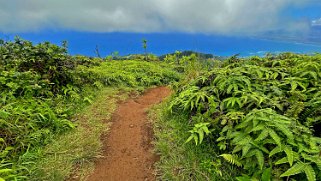 Waihee Ridge Trail - Maui Hawaii 2024