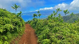 Waihee Ridge Trail - Maui Hawaii 2024