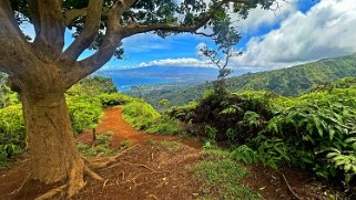 Waihee Ridge Trail - Maui Hawaii 2024